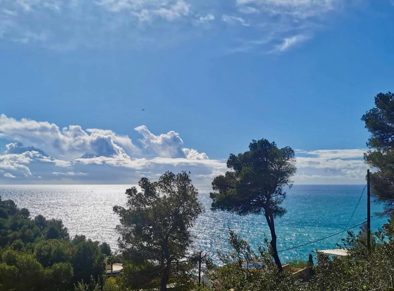 View from Pool - Living area..jpeg