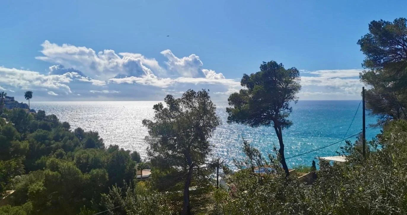 View From living and Pool level.jpeg