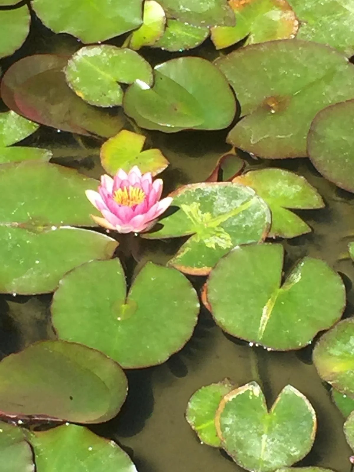 WhatsApp Image 2025-12-03 at 18.40.54.jpeg