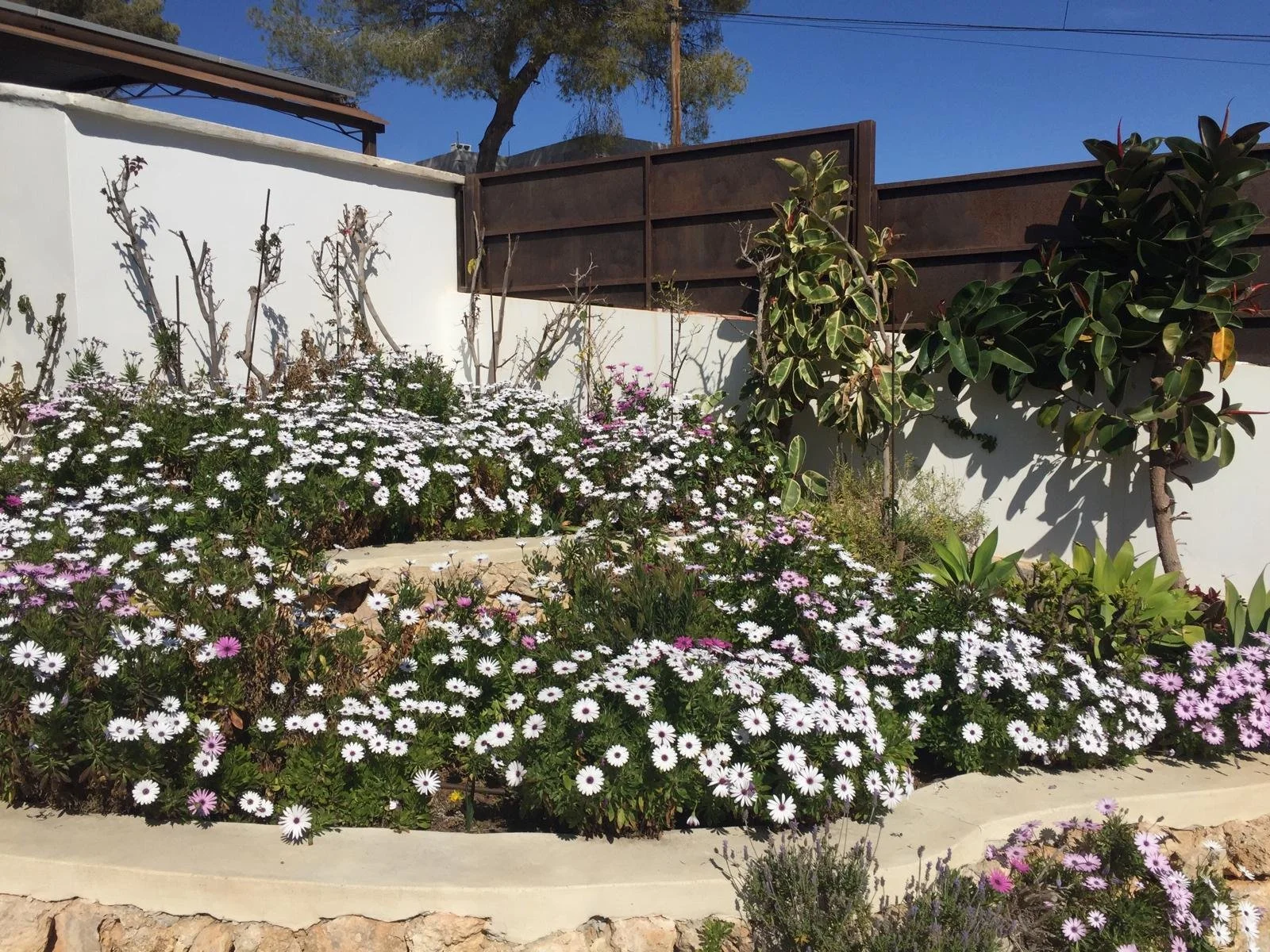 WhatsApp Image 2025-12-03 at 18.40.42.jpeg