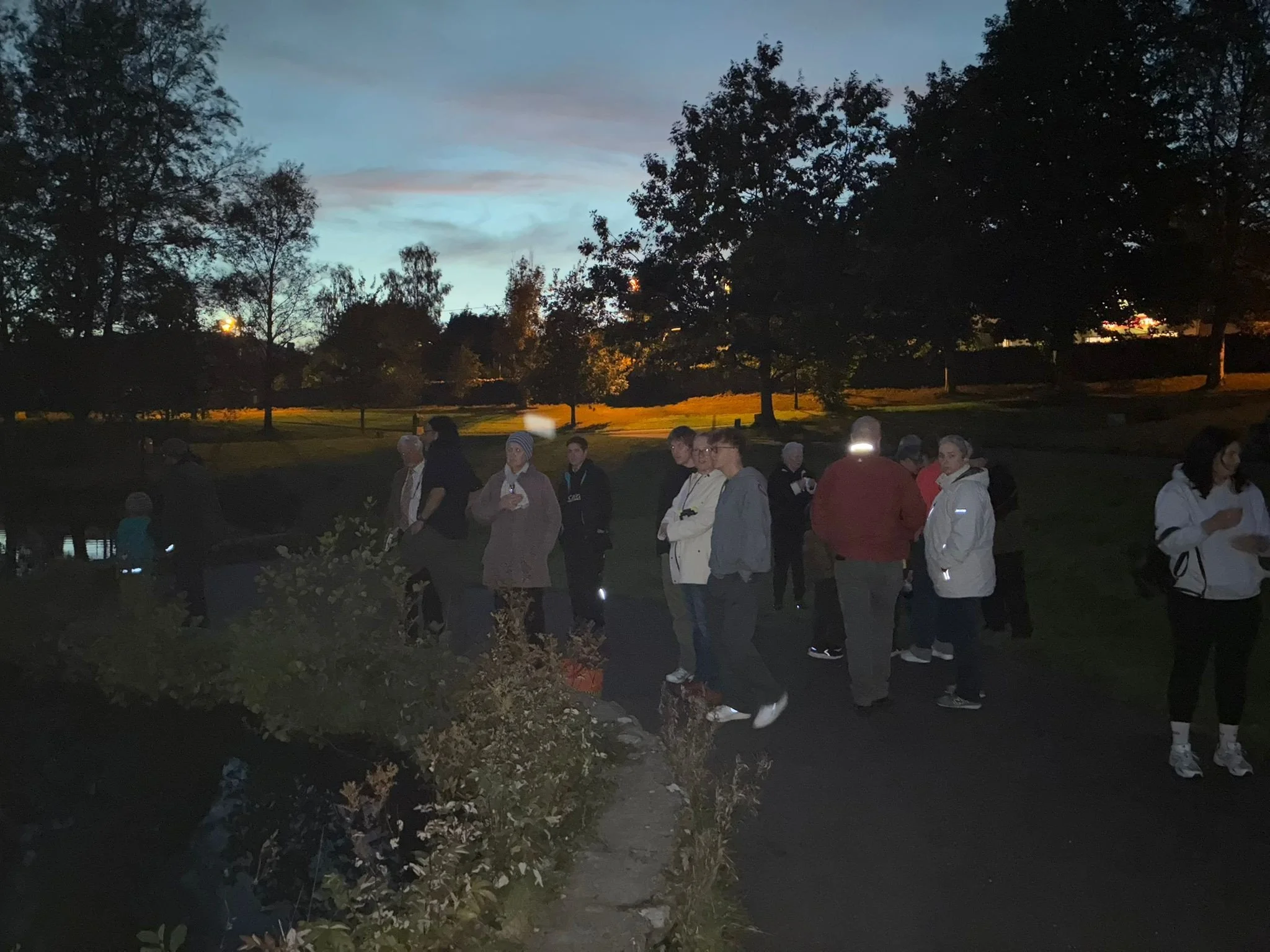 Bat Walk.jpg