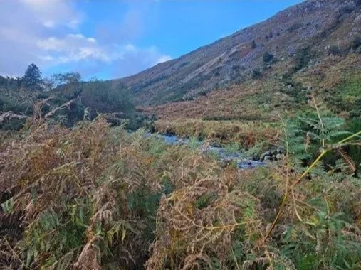 Tree Planting on the Avonbeg River