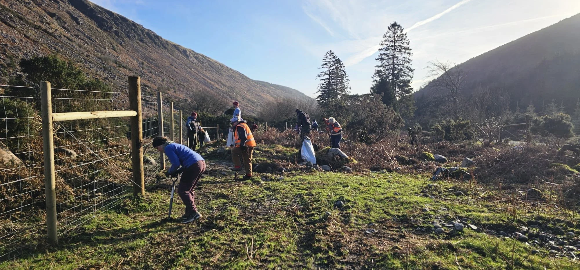 Avonbeg River Tree Planting 10Jan2026 - 1.jpeg