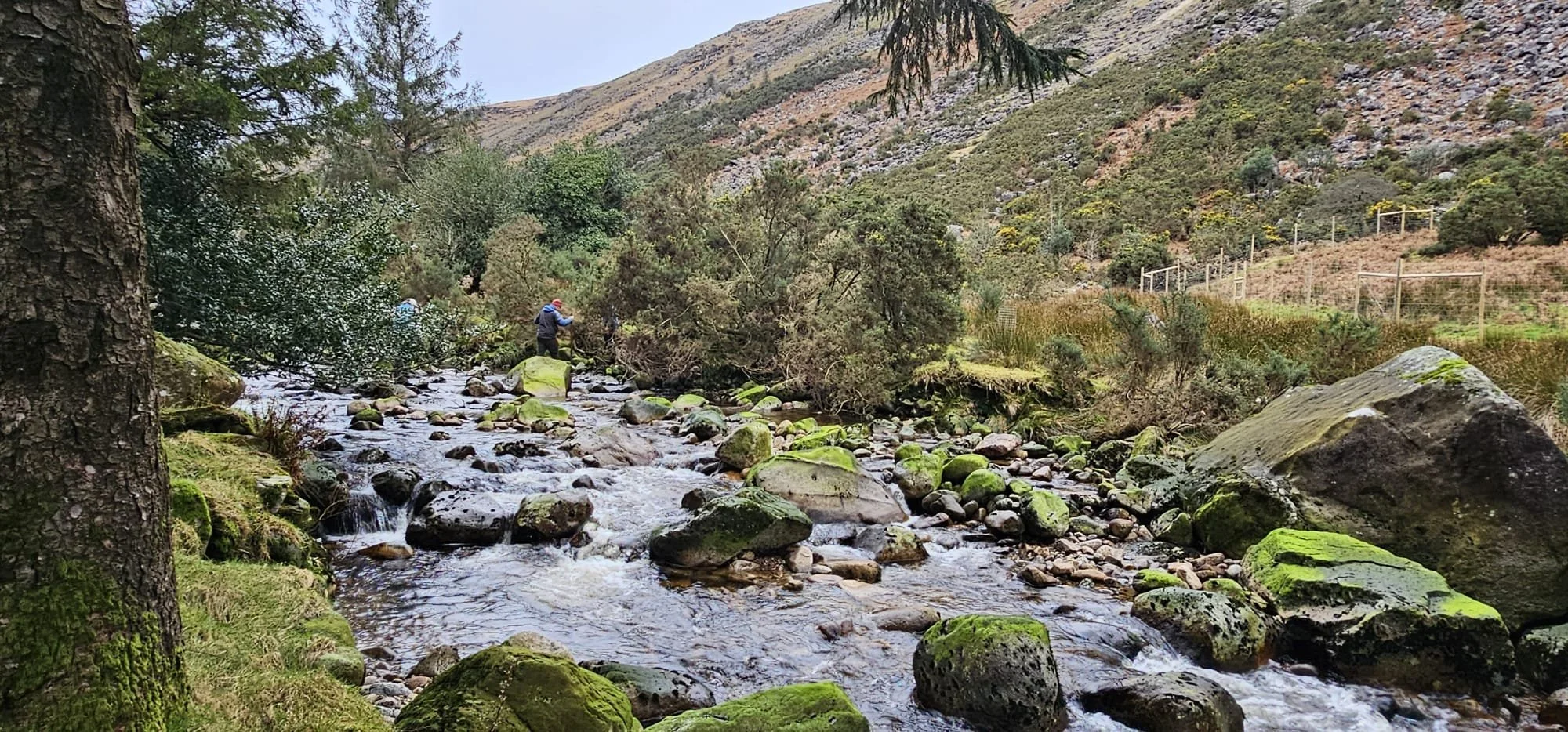 Avonbeg River Tree Planting 10Jan2026 - 4.jpeg