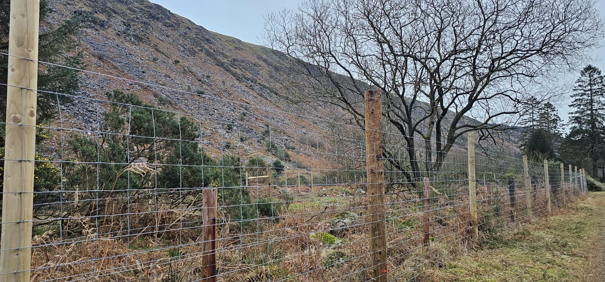 Avonbeg River Tree Planting 10Jan2026 - 5.jpeg