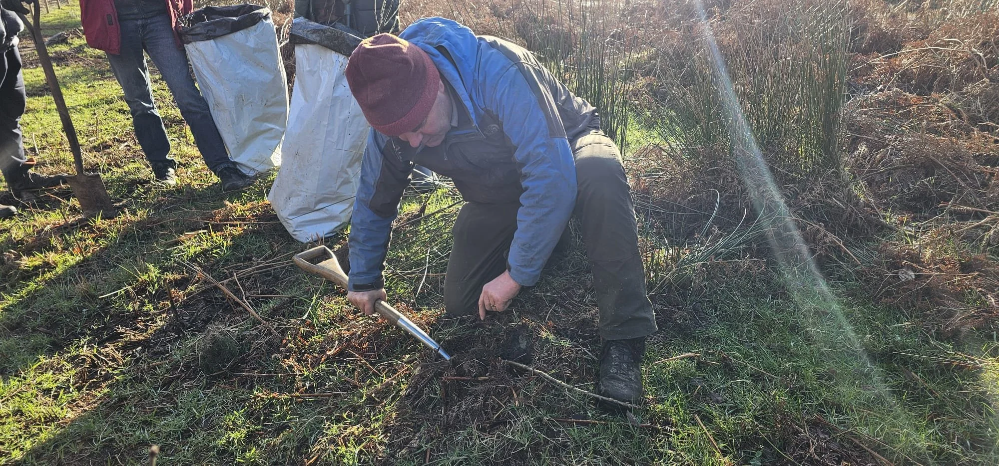 Avonbeg River Tree Planting 10Jan2026 - 6.jpeg