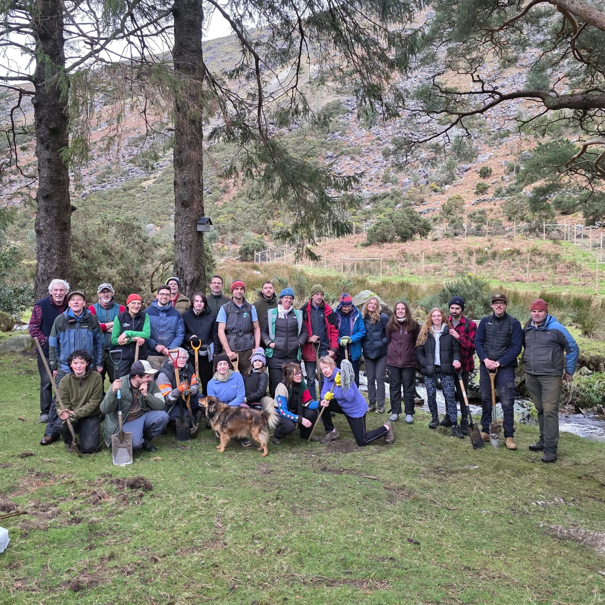 Tree Planting on the Avonbeg River
