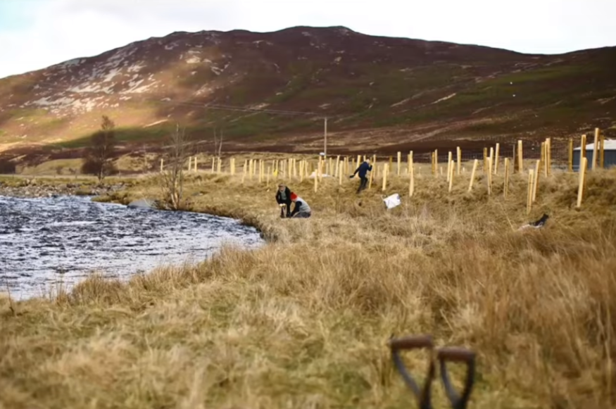 Learning from the River Dee to Build Resilient Irish Rivers