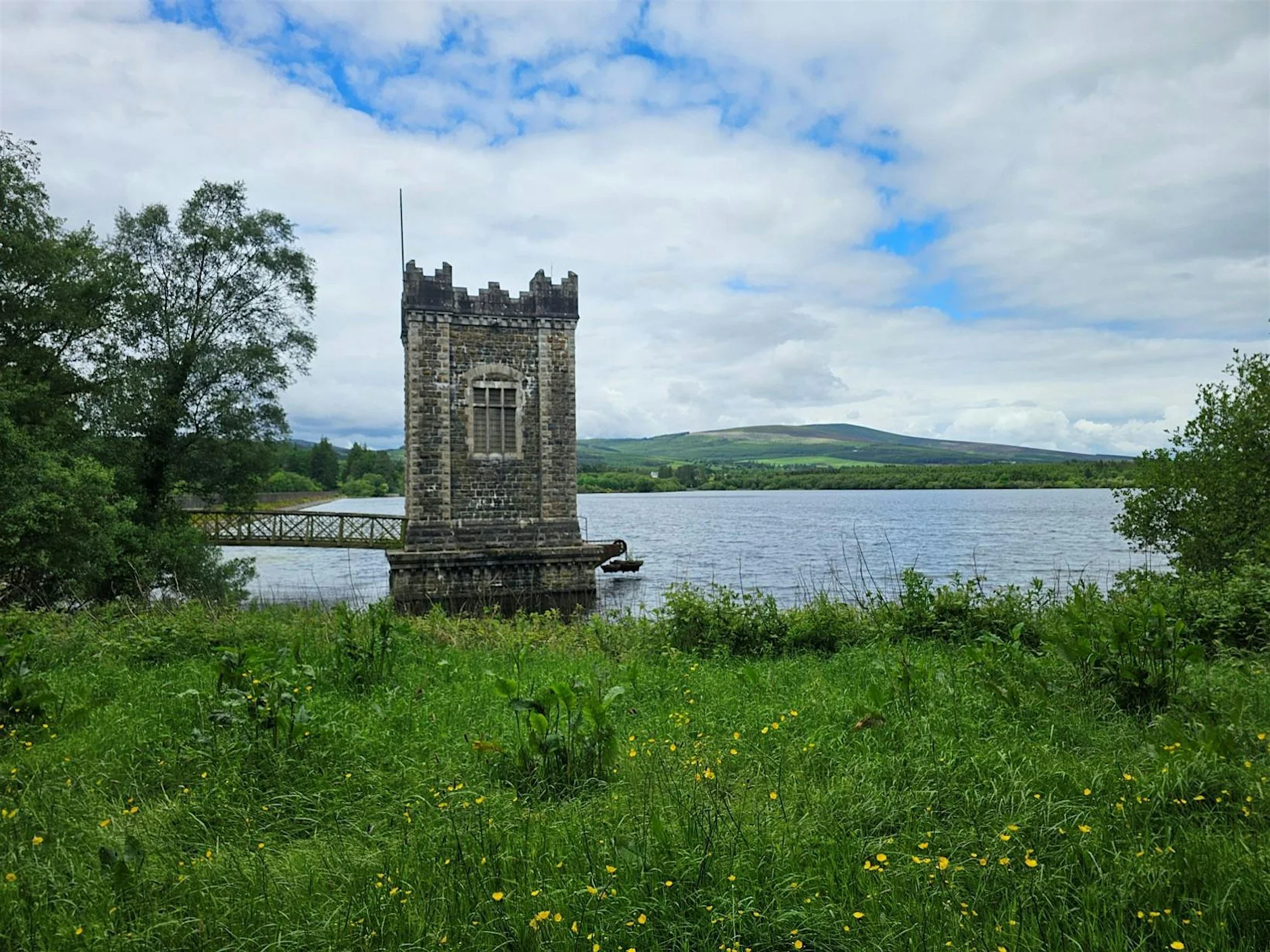 Birdwatching Walk on the River Vartry