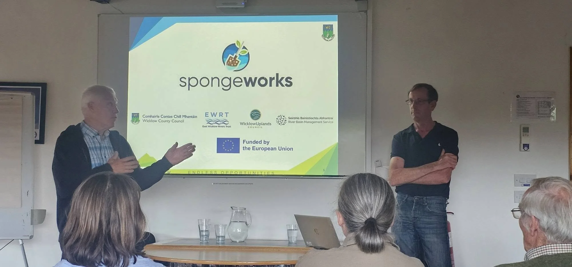 SpongeWorks: Building Resilience to Floods and Drought in Wicklow