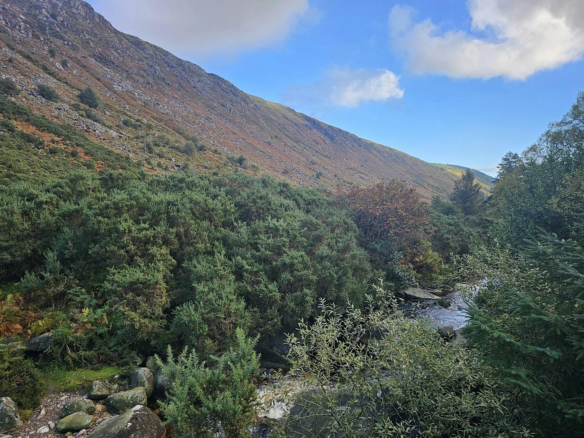 Culture Night - Avonbeg River Poetry and Ecology Walk