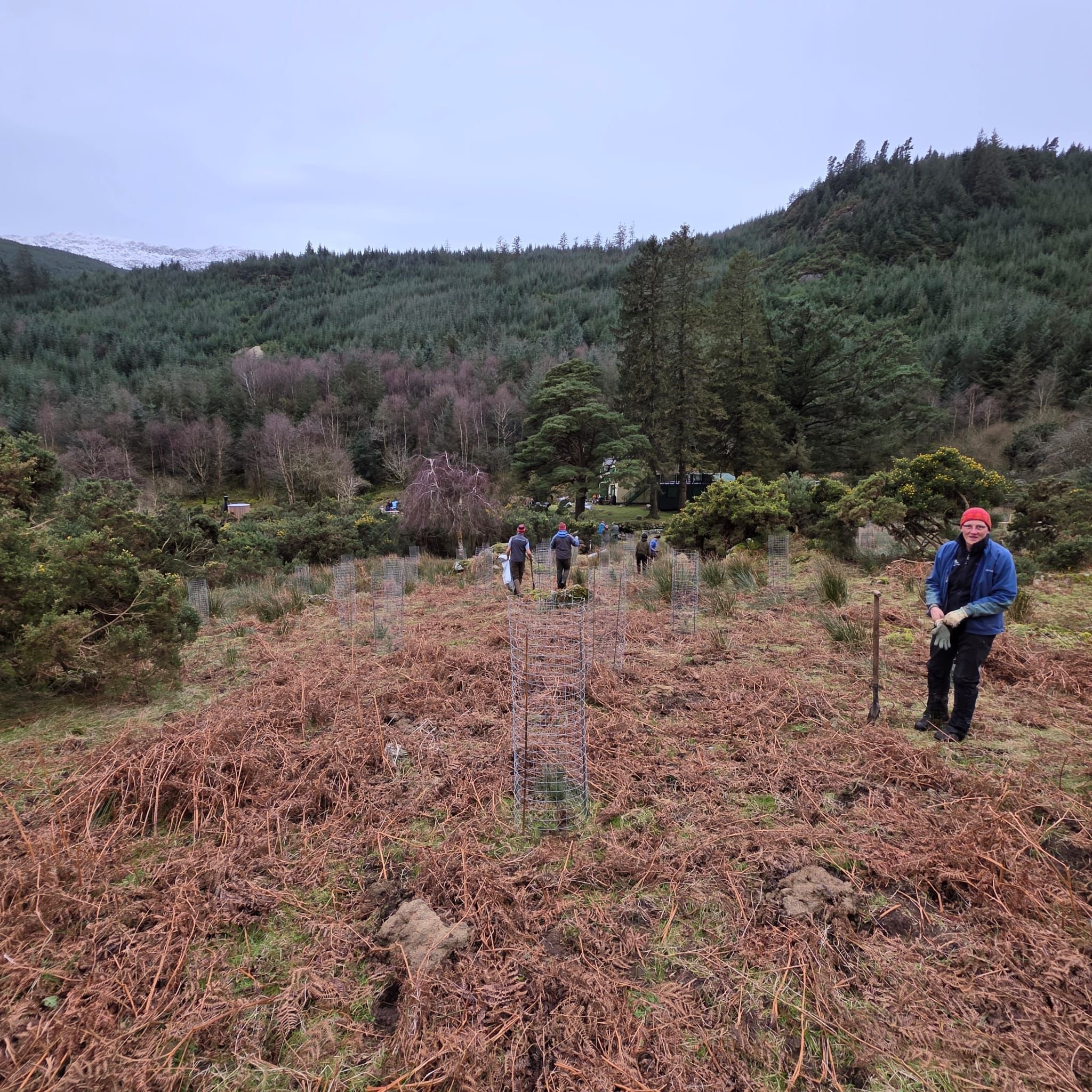 Avonbeg River Tree Planting 10Jan2026 - 13.jpeg