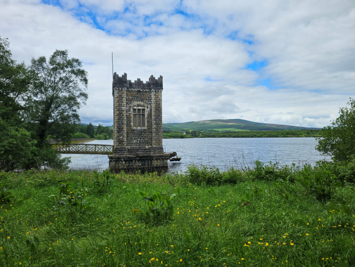 Bird watching walk at Vartry Reservoir