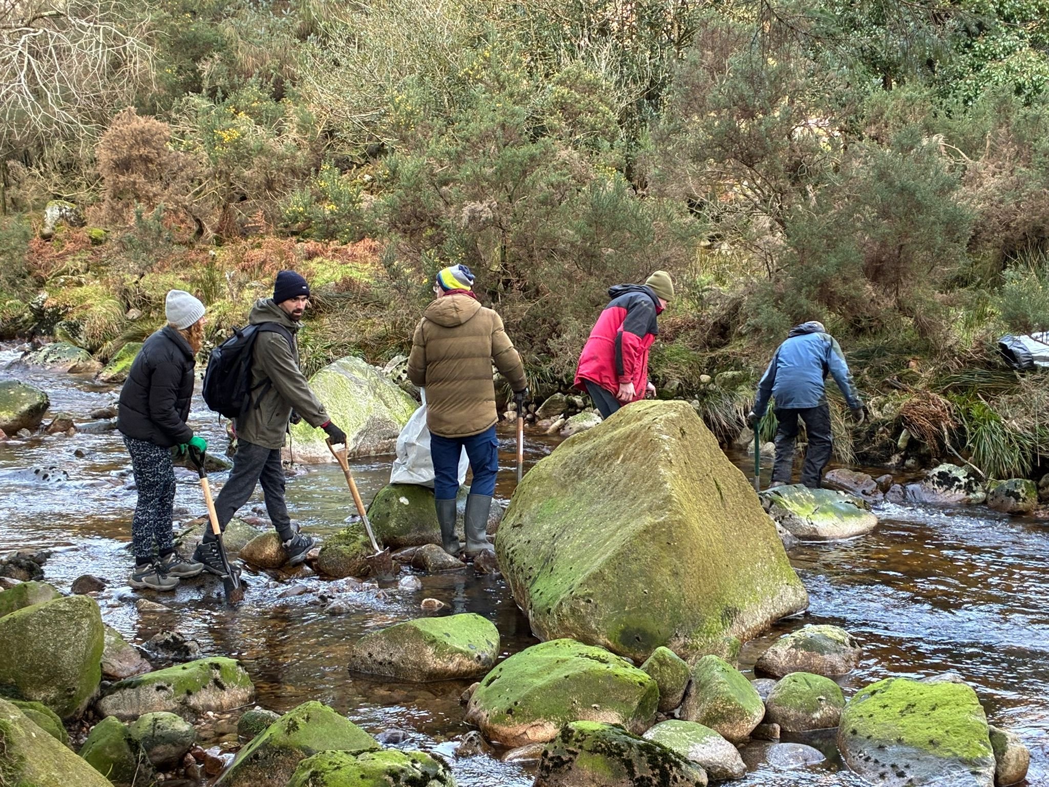 Avonbeg River Tree Planting 10Jan2026 - 12.jpeg