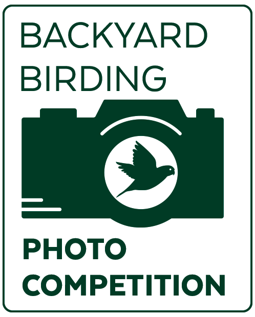 Sign for Backyard Birding Photo Competition with a camera and bird logo in green and white.