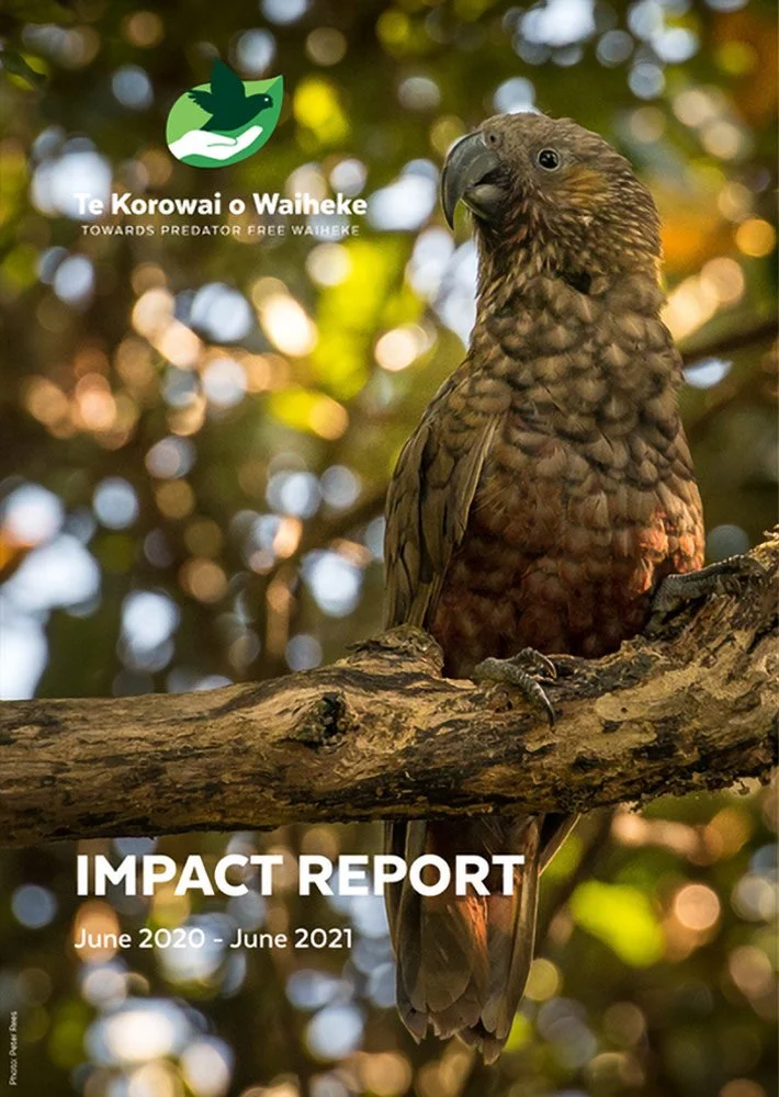 Impact Report