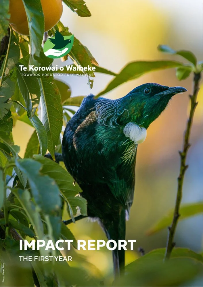 Impact Report