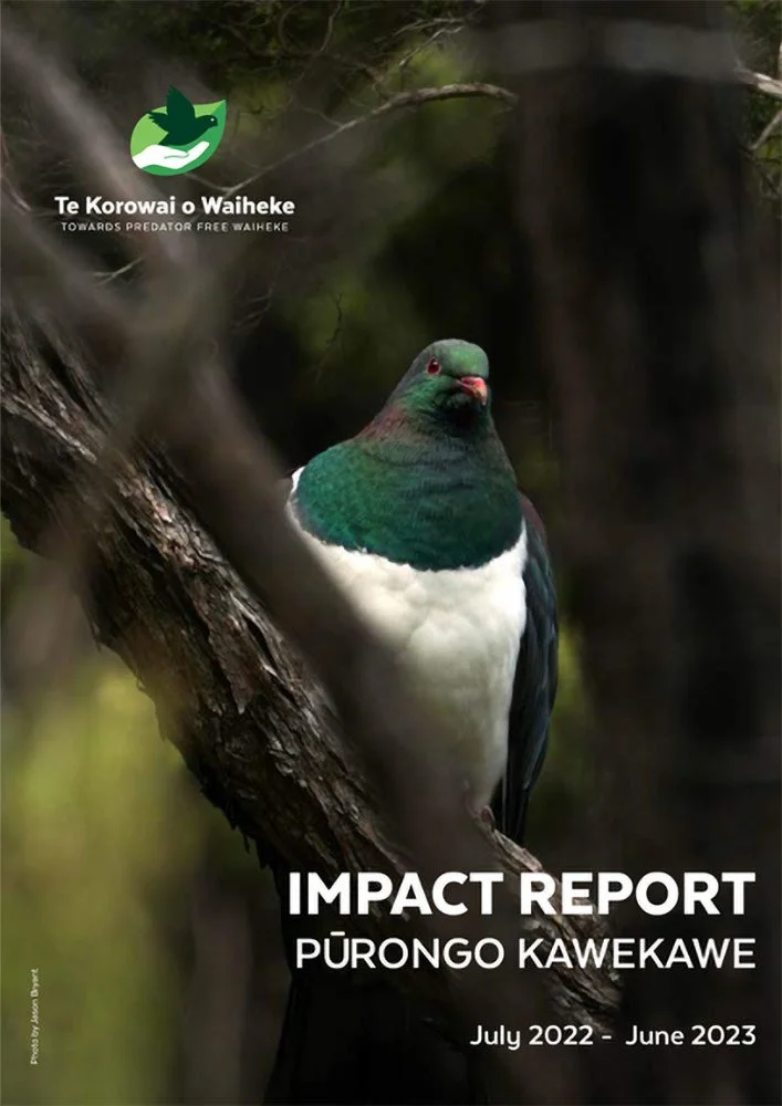 Impact Report
