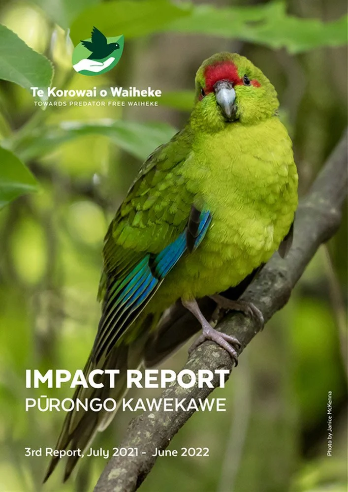 Impact Report