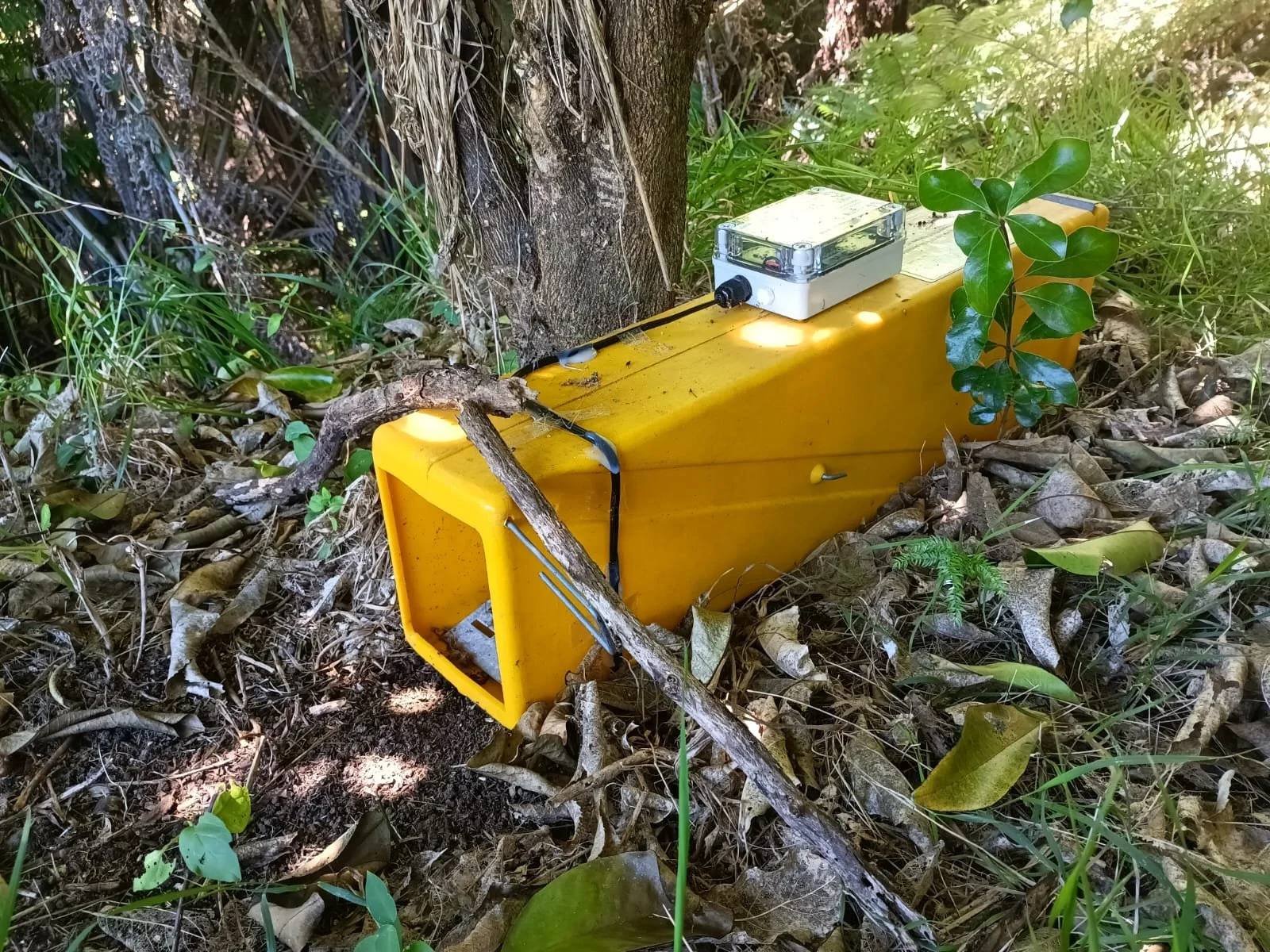 holden live trap