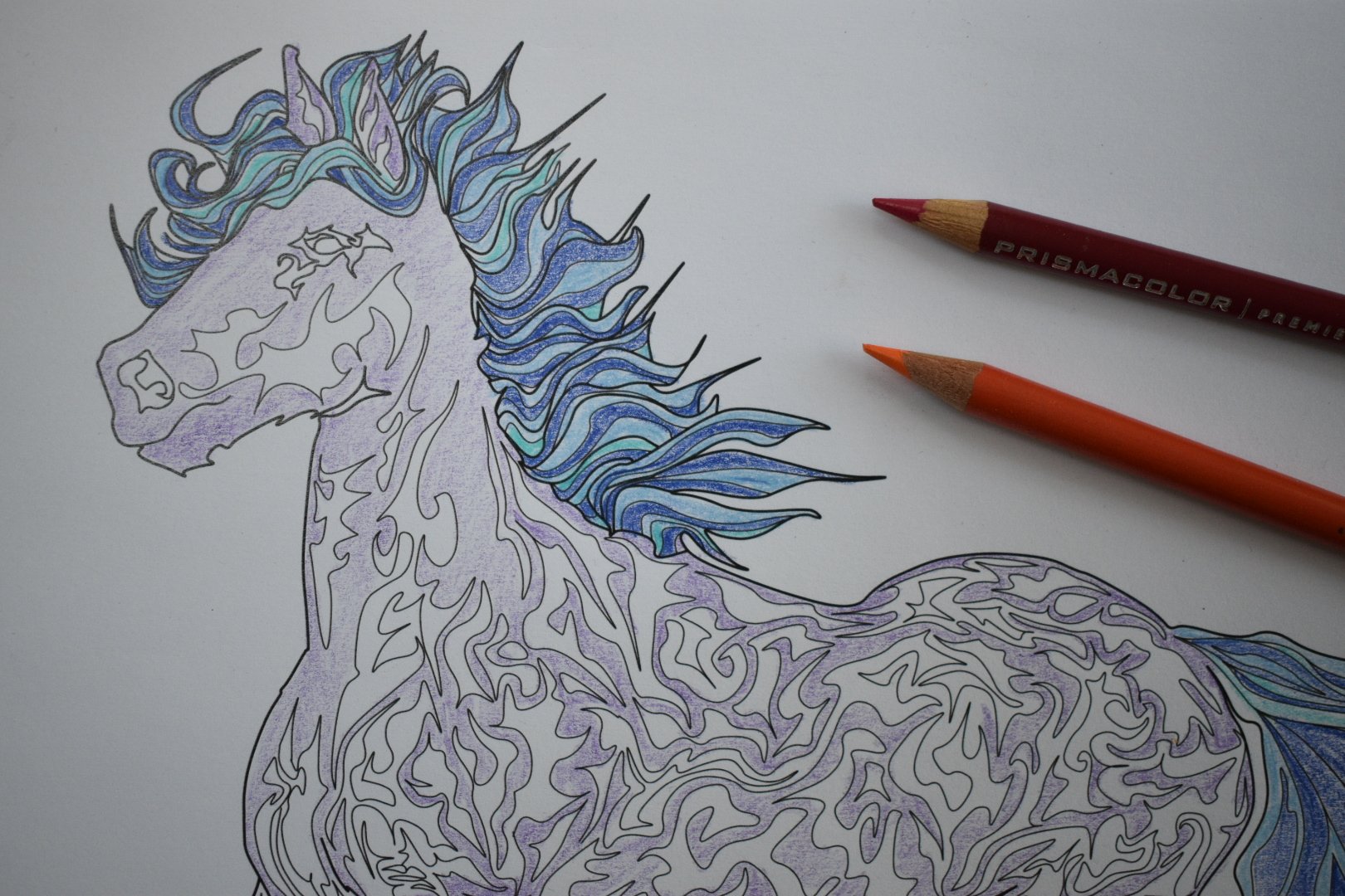 Fabulous Dante, a great example of the intricate designs found in Tracy Eisa’s Expressive Horses colouring book for adults