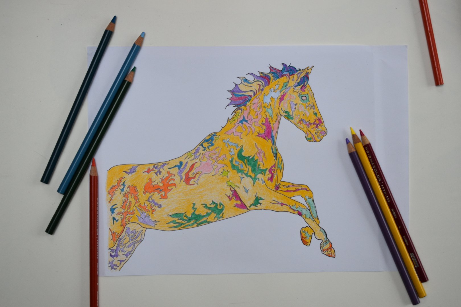 One of the creative ways to colour in Star Spangled, a well loved pony who thinks he is a horse! Available to buy direct from www.ArtinaPublishing.com Designs and Illustrations by Tracy Eisa