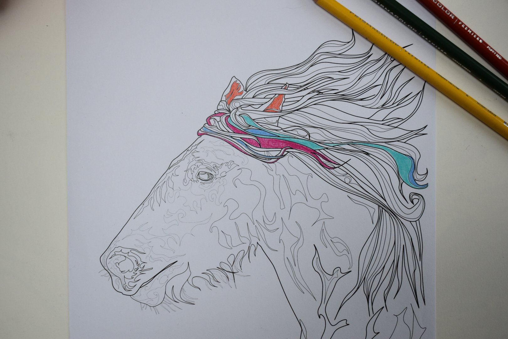Bold as Keats, one of Tracy Elsa’s Expressive Horses to colour, look at his flowing mane!
