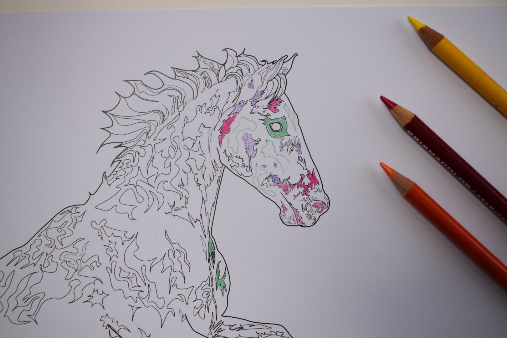 Star Spangled, one of Tracy Elsa’s Expressive Horses to colour