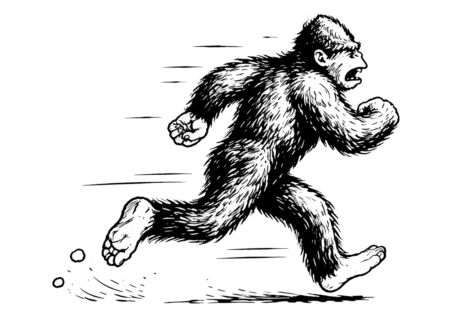 Black and white illustration of a bigfoot or Sasquatch running quickly, with a fierce expression on its face, depicted with fur covering its body and trailing motion lines indicating speed.