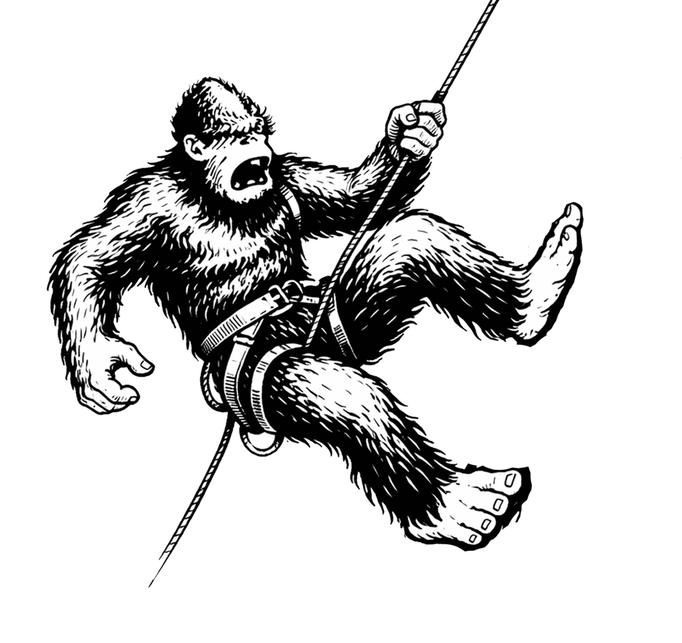 Black and white illustration of a hairy, Yeti climbing a rope.