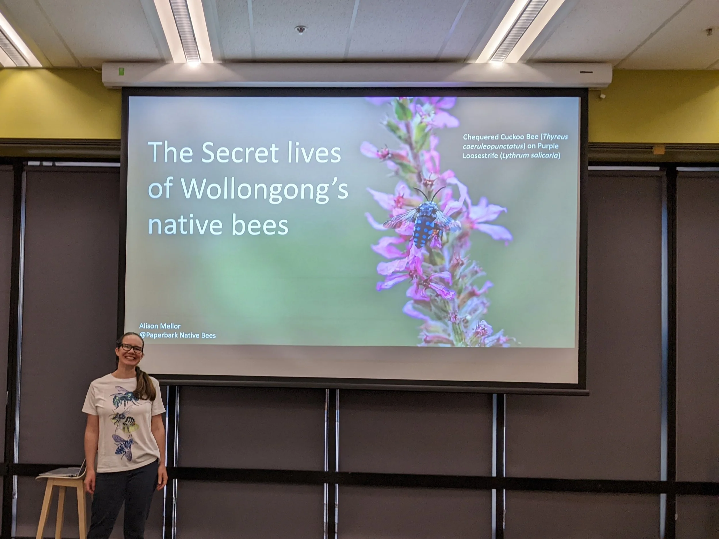 PAST EVENT The Serect Lives of Wollongong's Native Bees