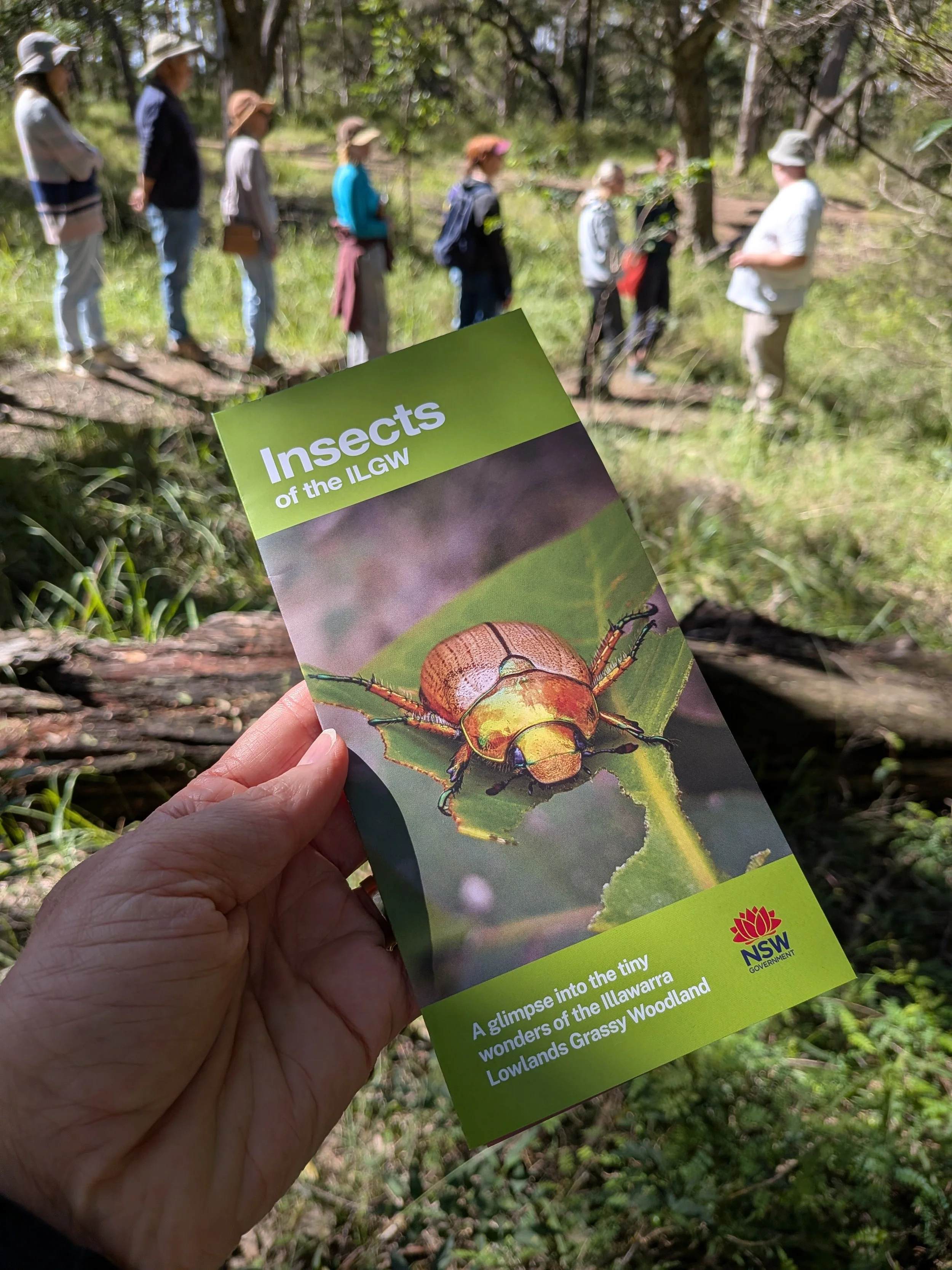PAST EVENT Insect walk at Backyard Biodiversity Breakfast