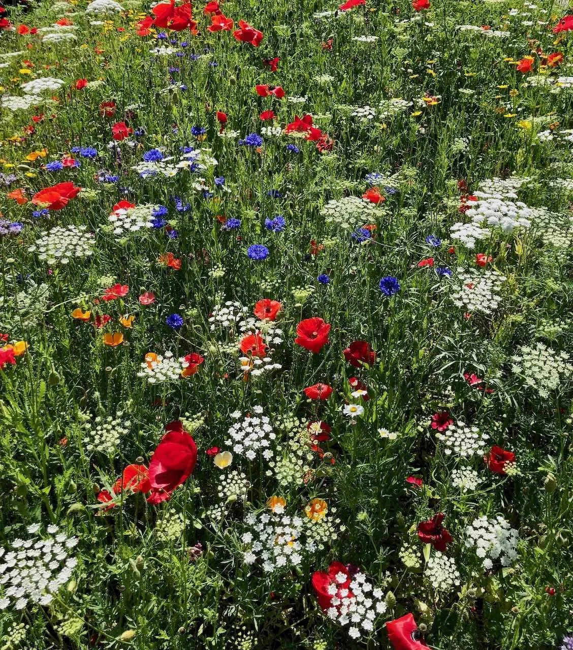 Summer Meadow Floristry Class