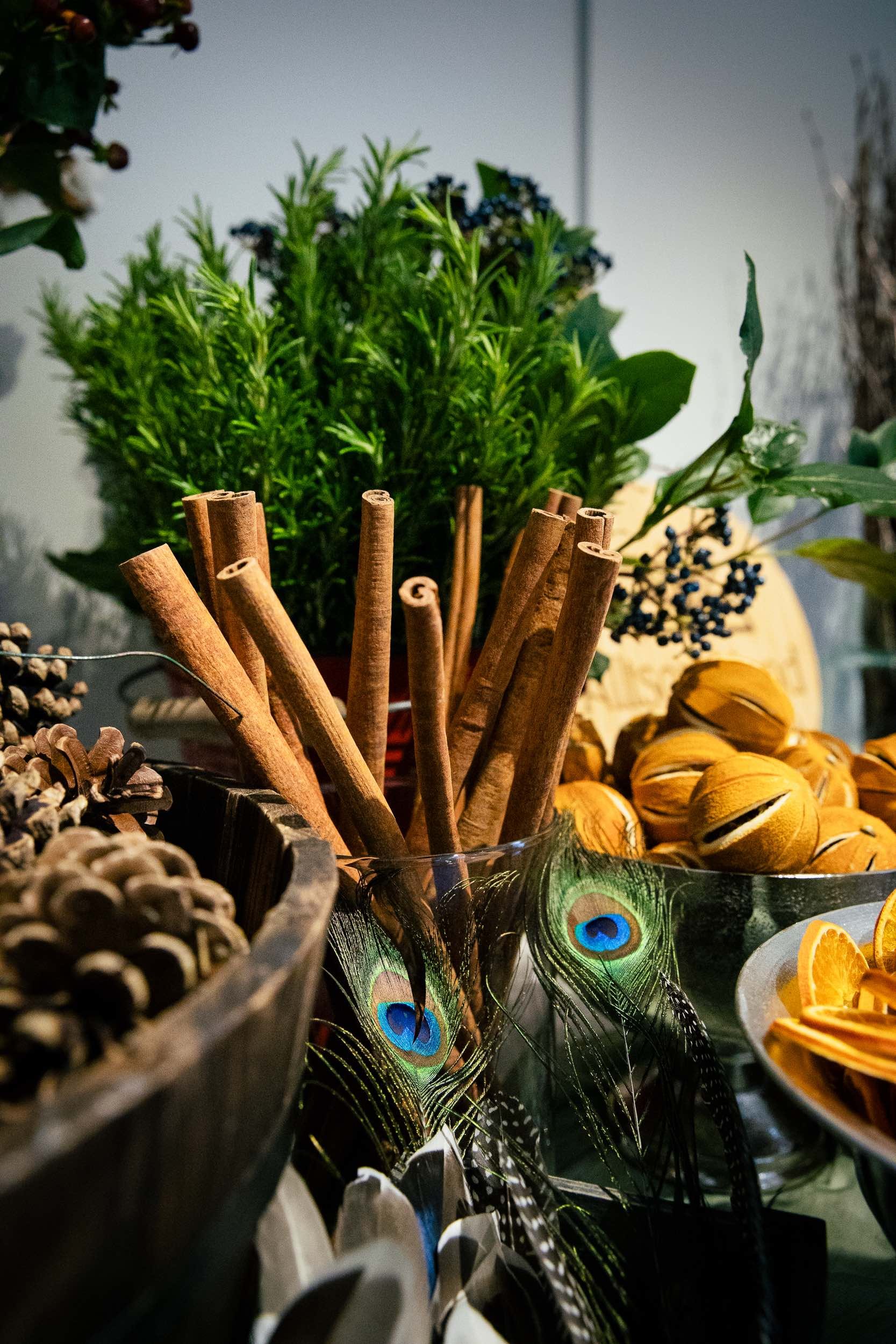 Close-up of cinnamon sticks, green plant, dried oranges, and peacock feathers on a table, with blurred background.