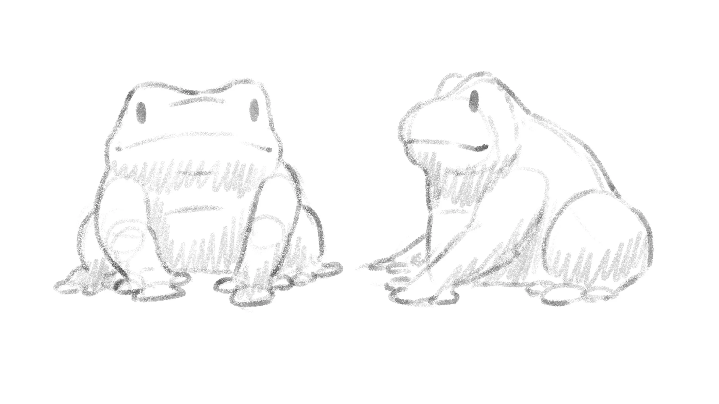 Frog.jpg