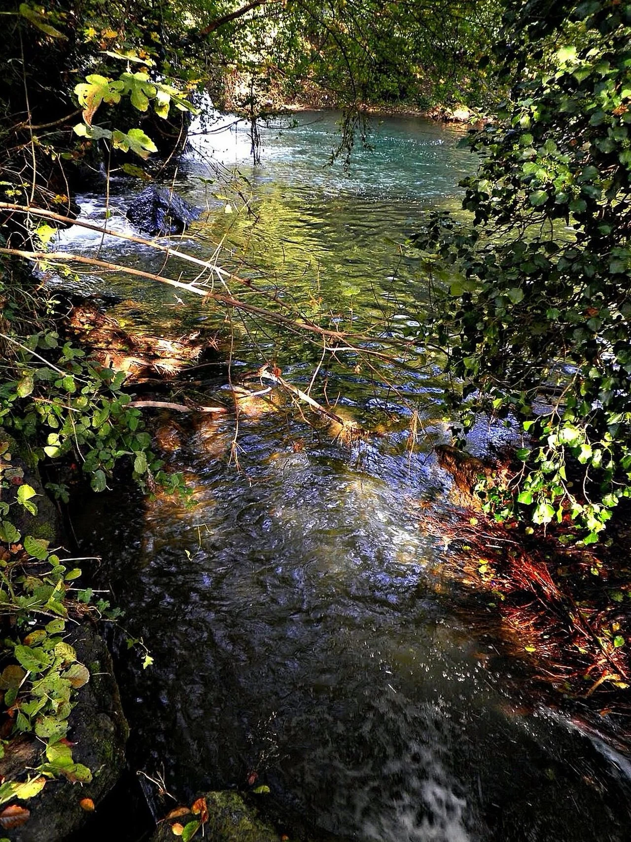 Ask a medieval Jew what a stream is and they&rsquo;d probably describe this. Ask a member of our team about streaming and we&rsquo;d say &lsquo;join us on line for the Medieval Jewish History Festival on line on Sunday May 10th! Tickets available fro