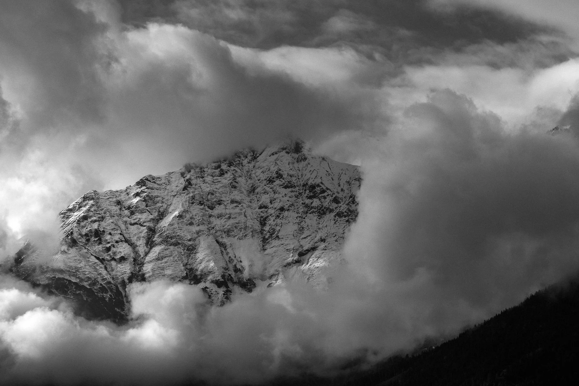 20251007-_U7A2315-Bearbeitet.jpg