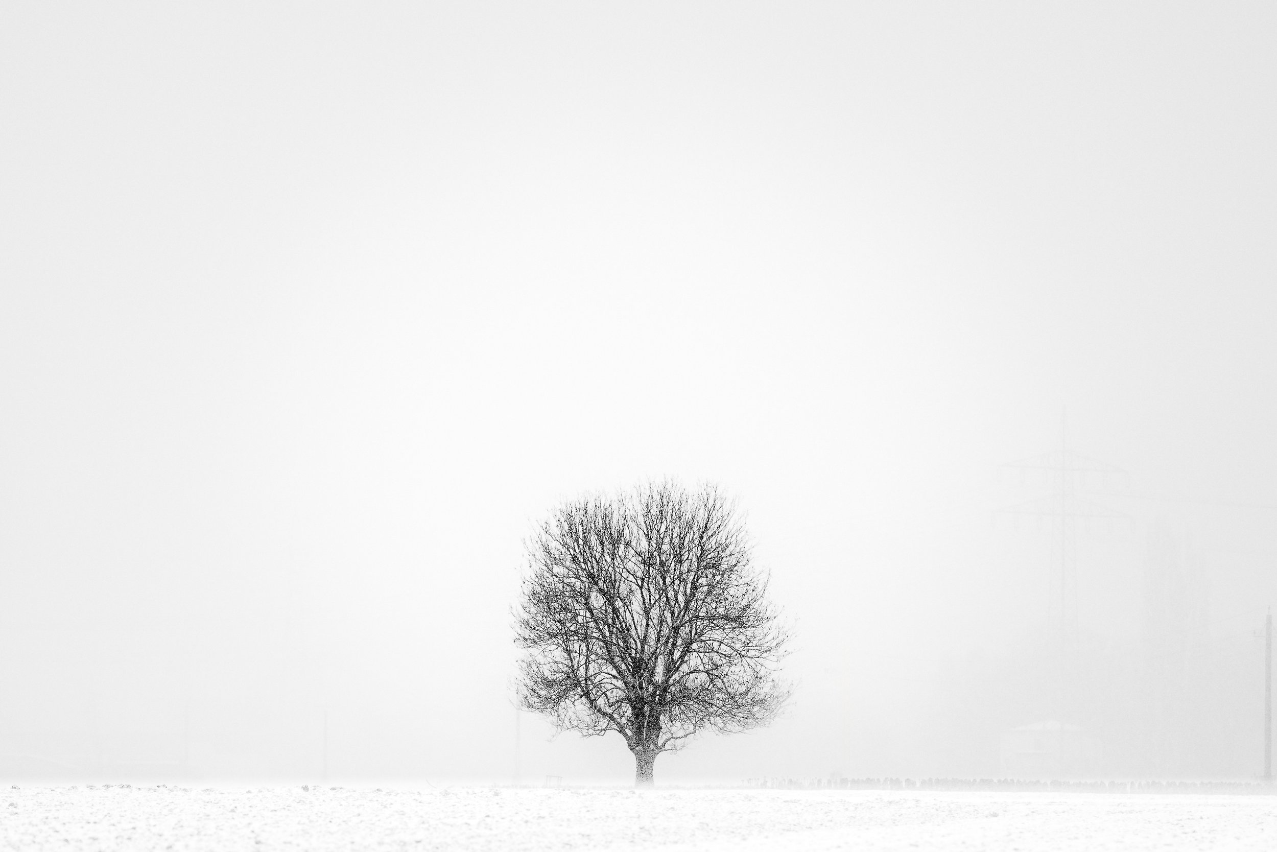 Warum ich 2026 bewusst Schwarzweiß fotografiere