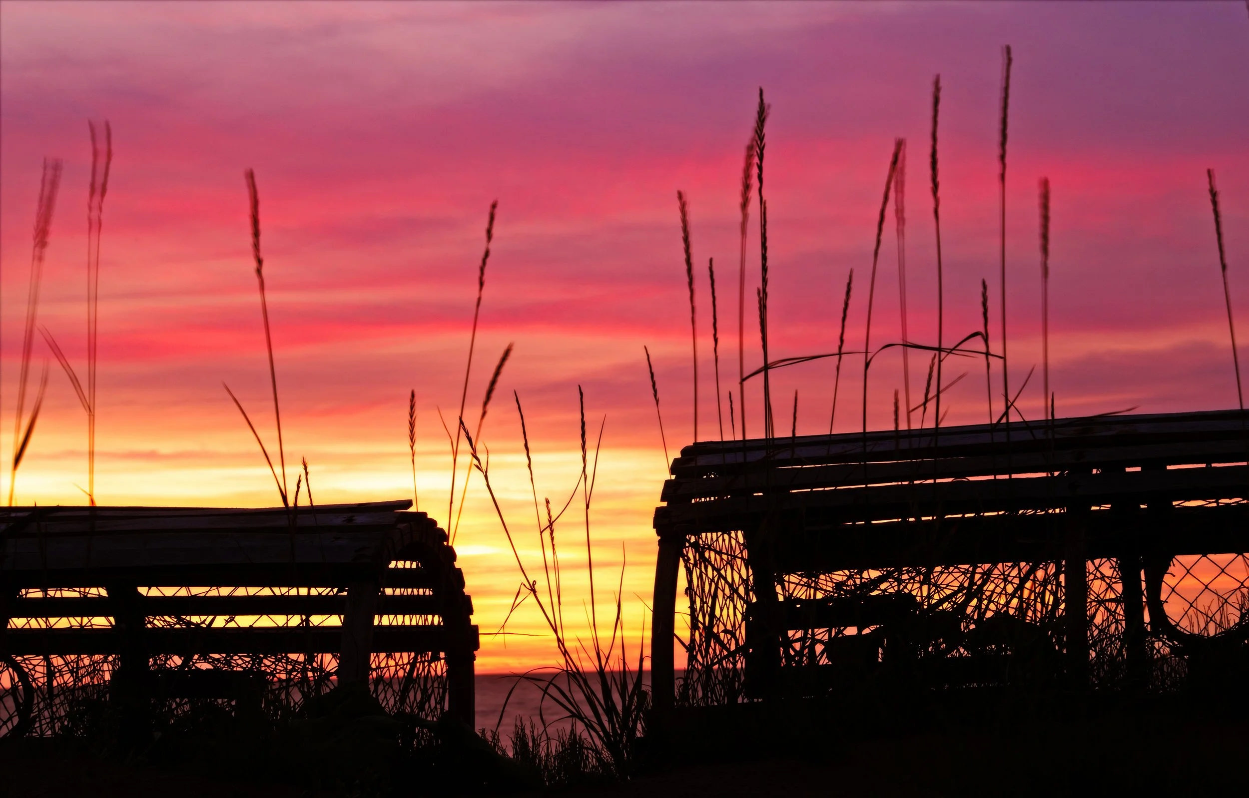Copyright_StefanDavidson_2026_DSC_1377_w_sharp2.jpg