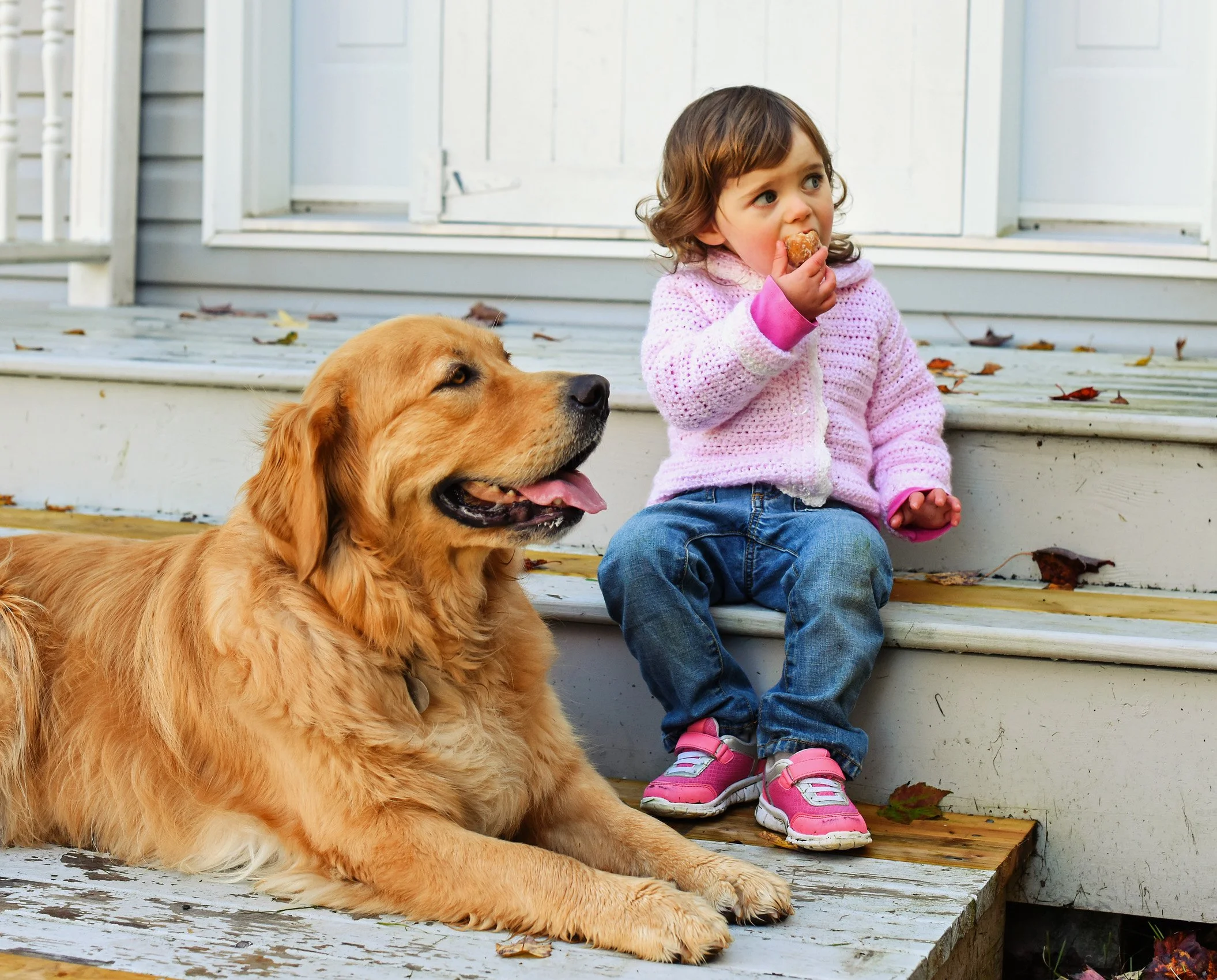 A young girl with brown curly hair wearing a pink sweater and jeans, sitting on a porch step, eating a snack, next to a large golden retriever lying on the porch. There are fallen leaves on the stairs.