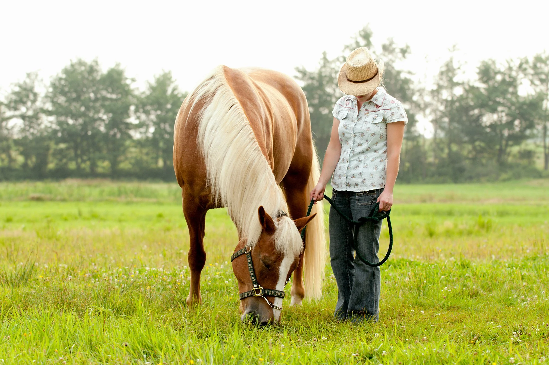 Woman with a straw hat and floral shirt standing beside a brown and white horse in a grassy field.