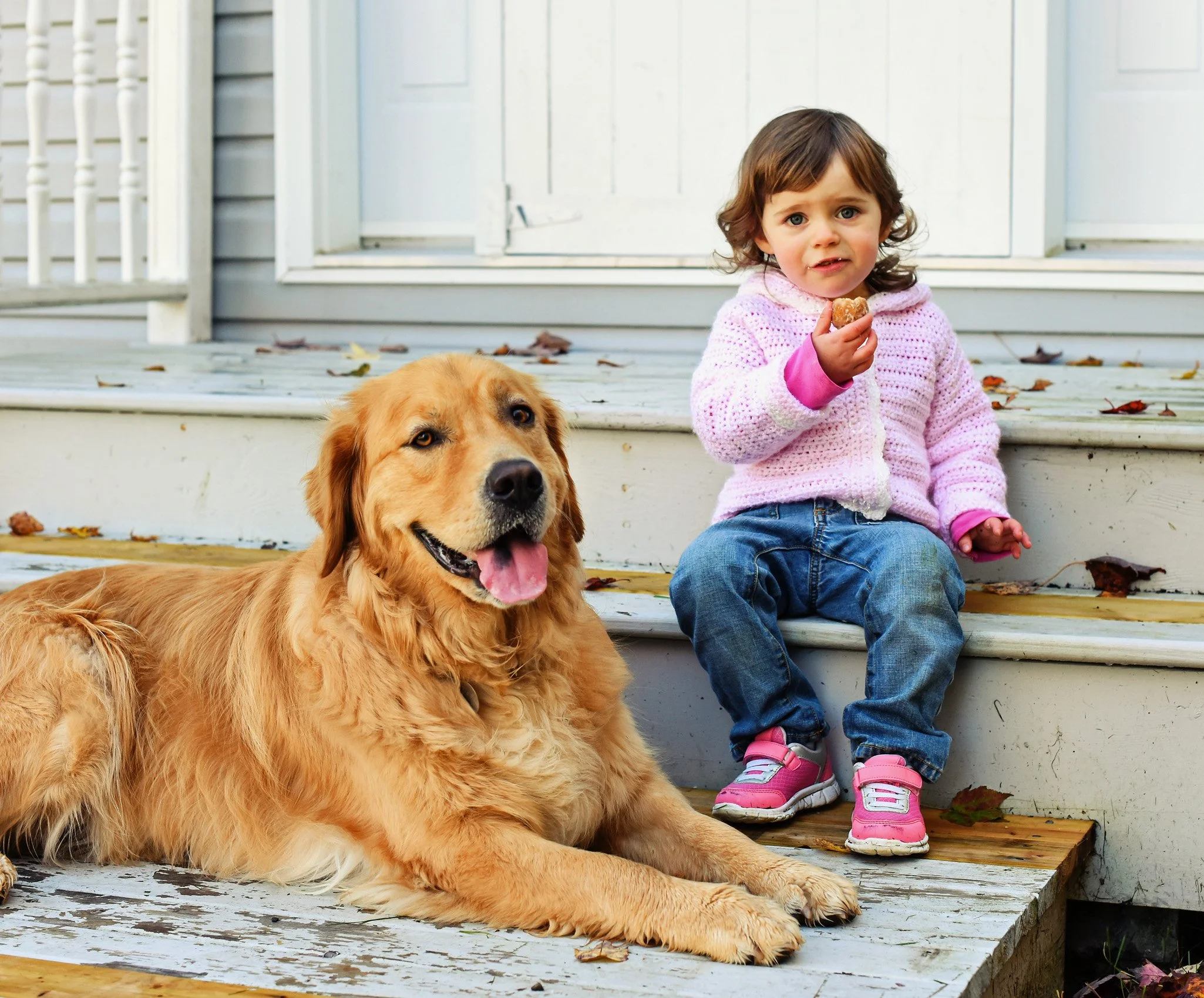 A young girl sitting on porch steps holding a snack, next to a golden retriever lying on the steps, with autumn leaves scattered around.