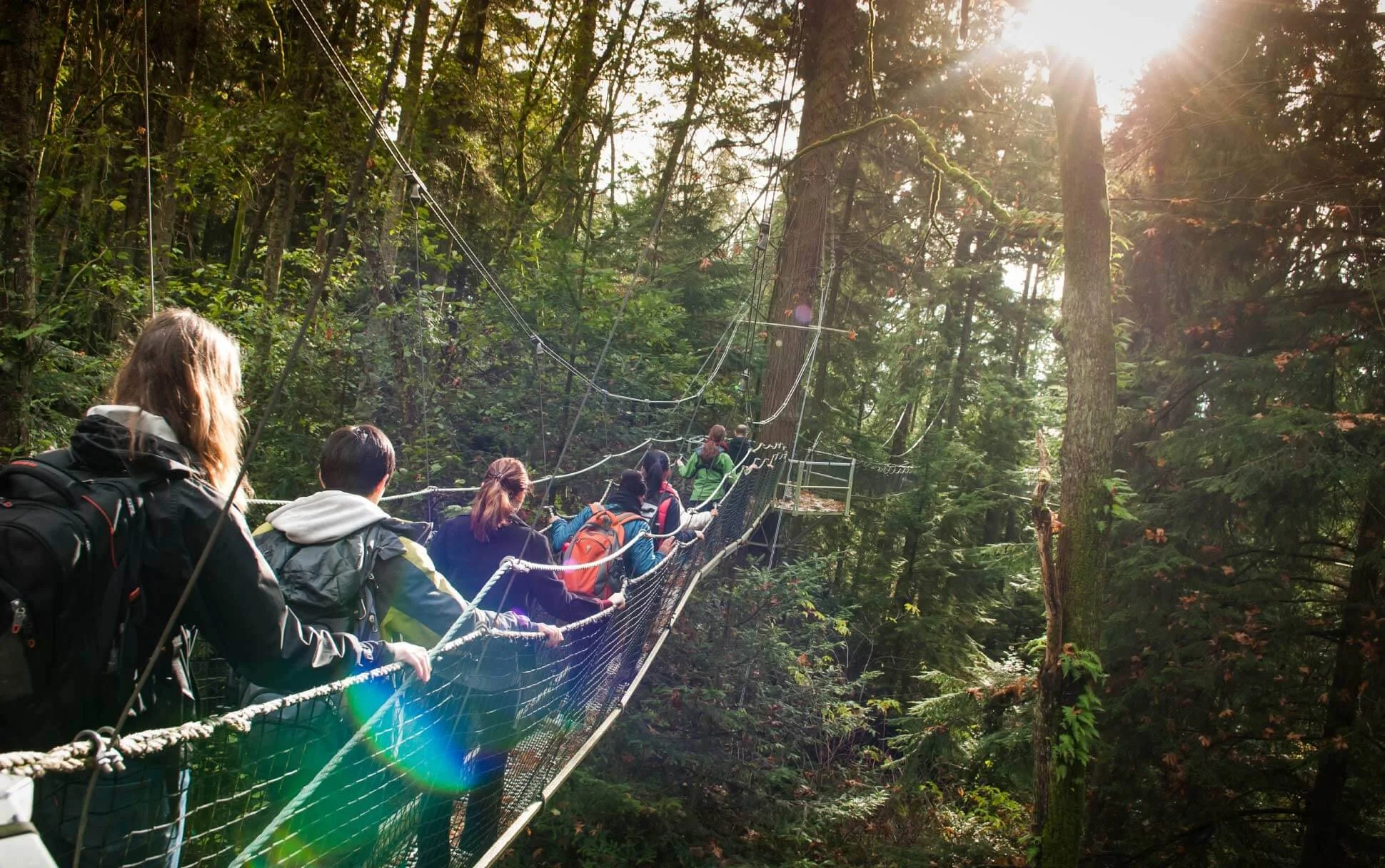 canopy walk UBC.jpeg