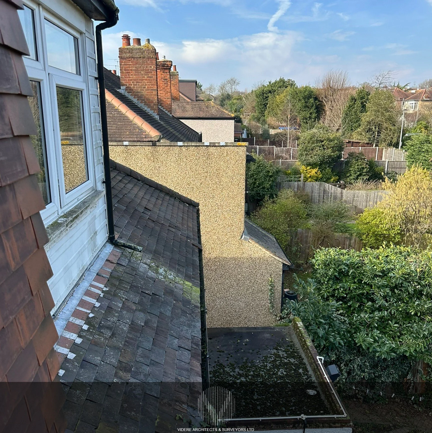 IMAGE 23- SMALLER .jpg