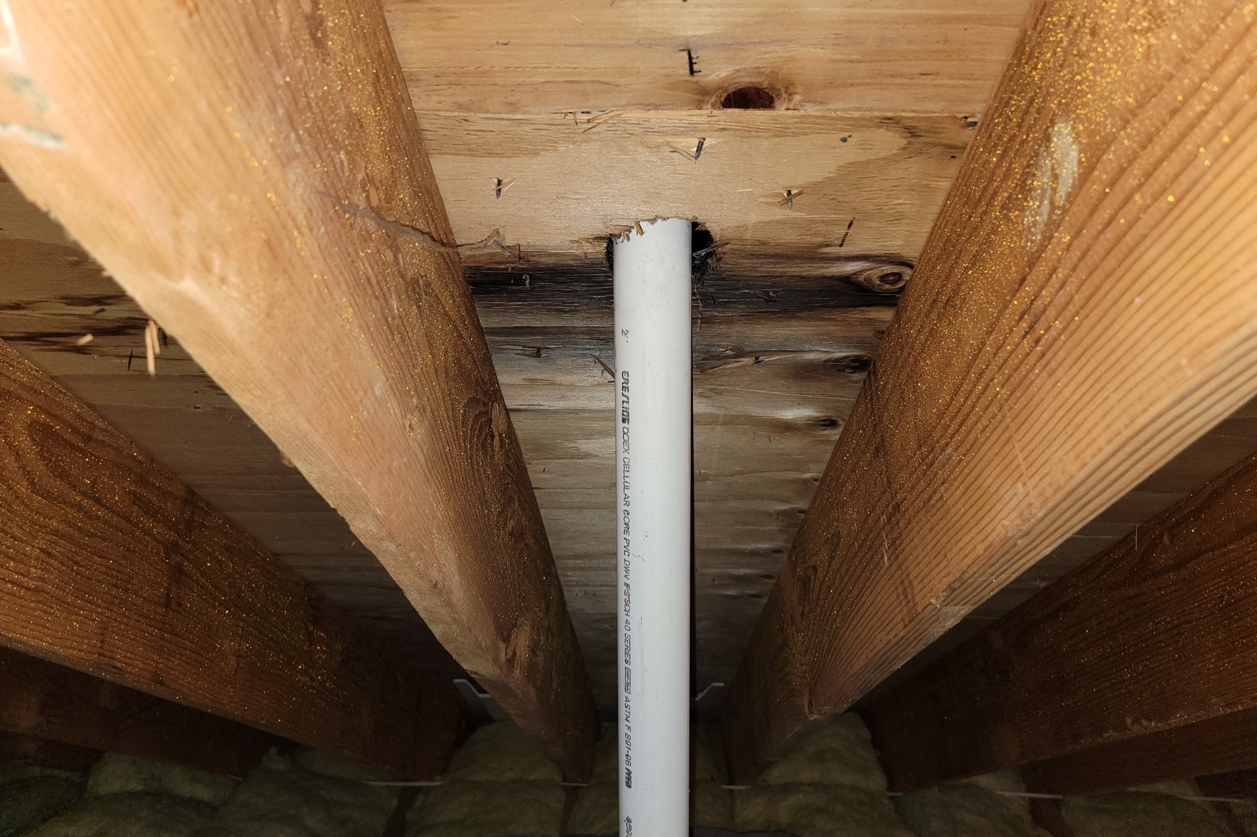Livingston, NJ attic photo showing water-damaged wood from a failed pipe flashing/pipe boot leak above.