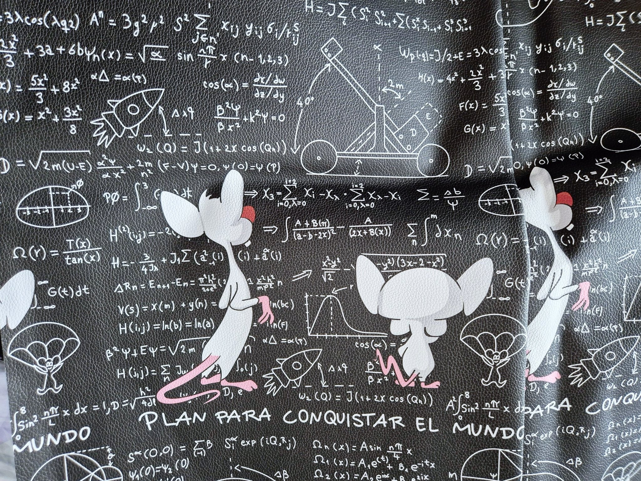 pinky and brain.jpg