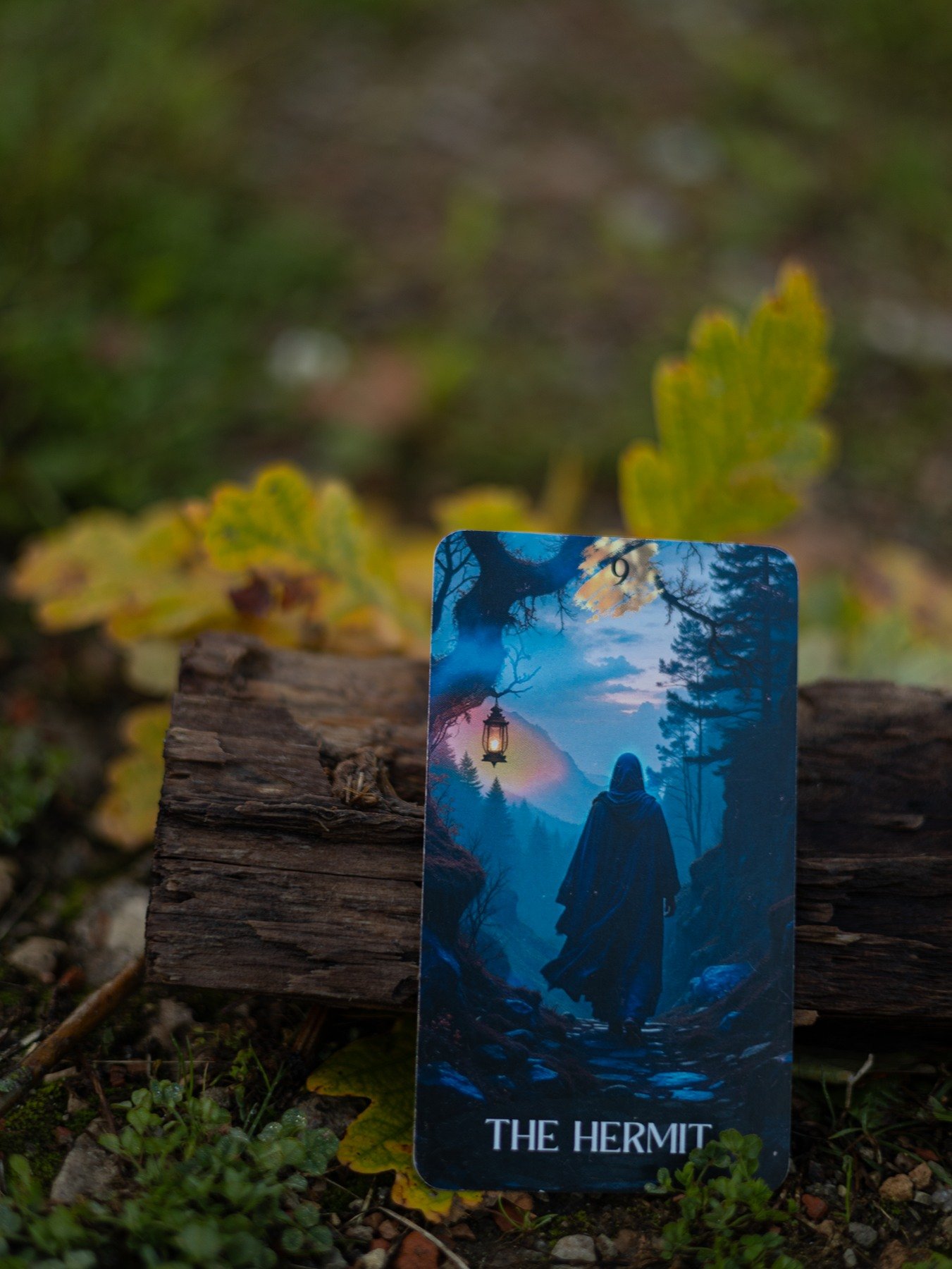 The Hermit card from Mystic Forest Tarot placed among moss, wood, and early autumn leaves.