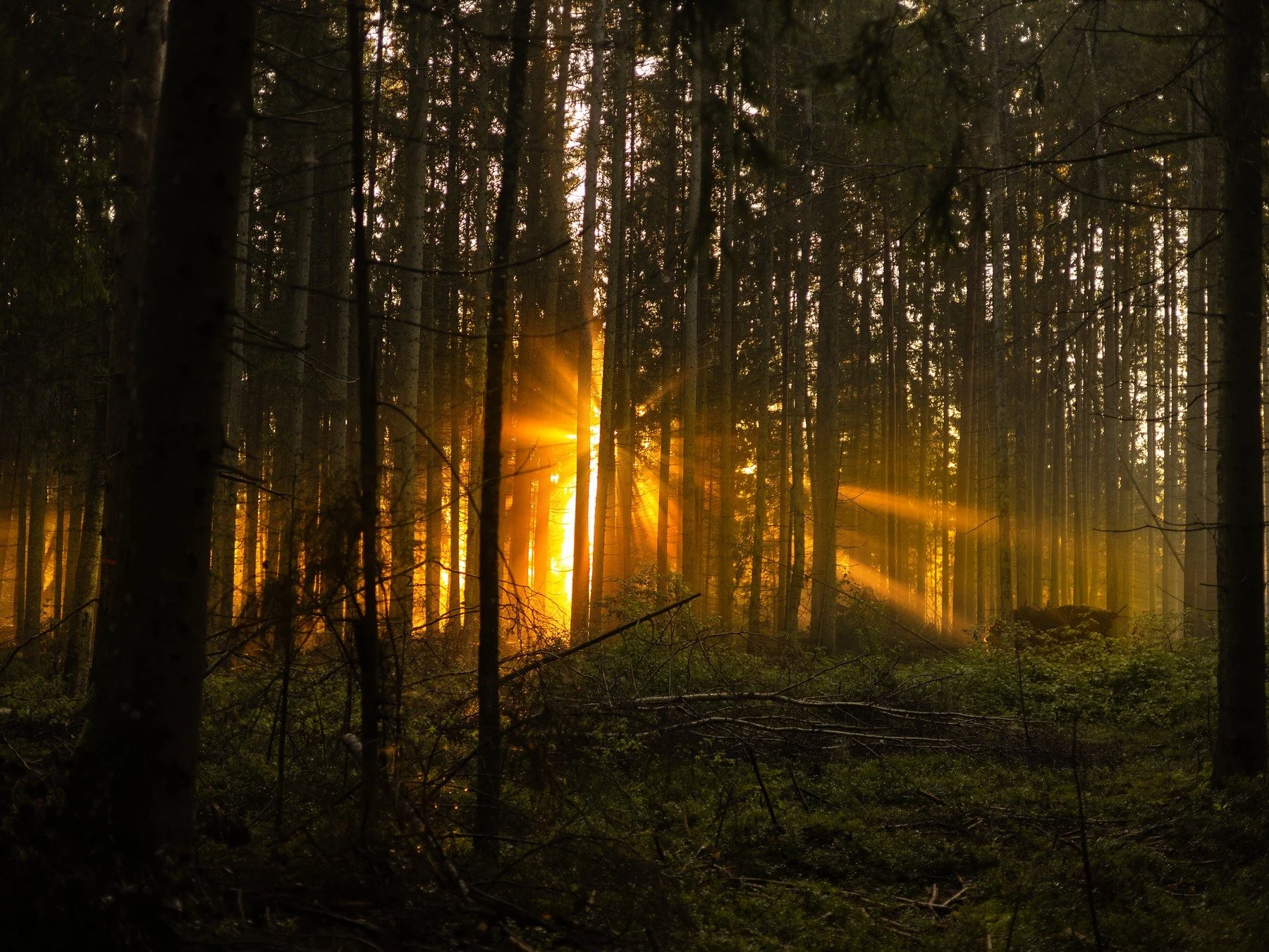 Where the Light Becomes Quiet — The Hermit, September, and the Wisdom of Stepping Away