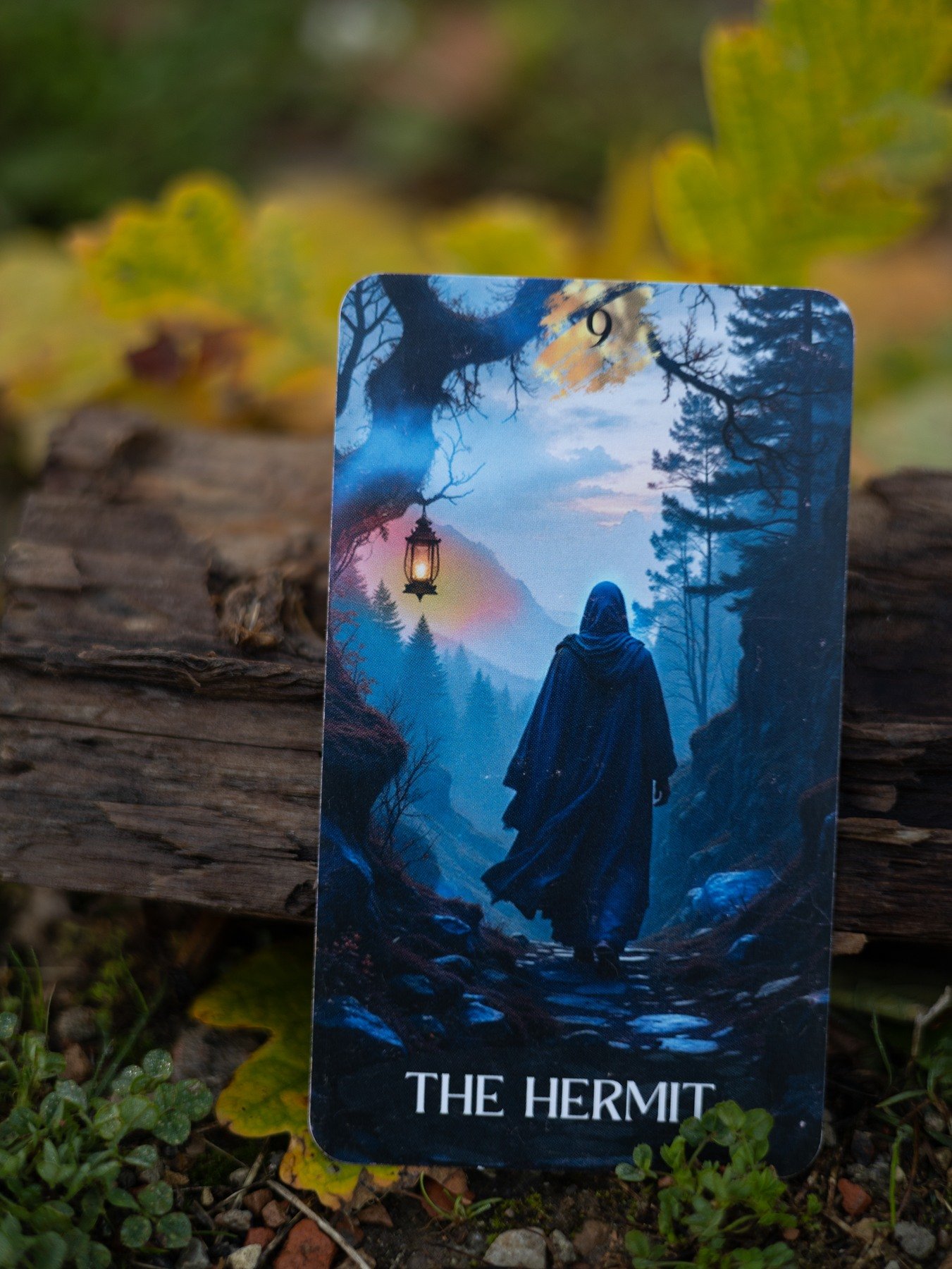 The Hermit card from Mystic Forest Tarot photographed upright on a fallen log in a September forest.