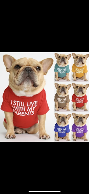 I Still Live With My Parents